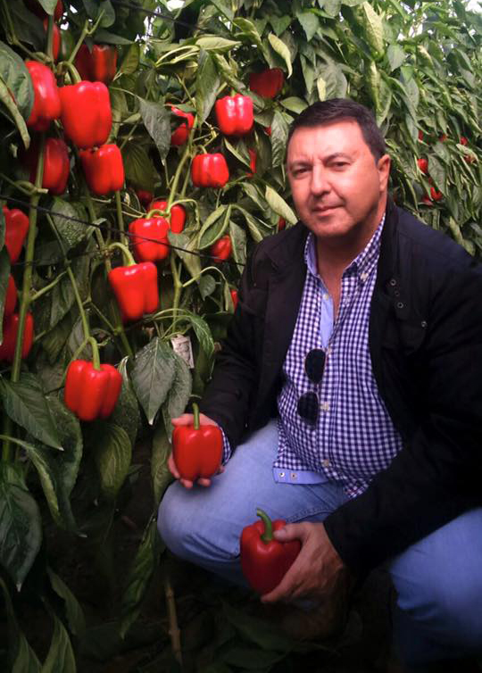 Antonio Galindo - Director comercial de Martin Seeds S.L